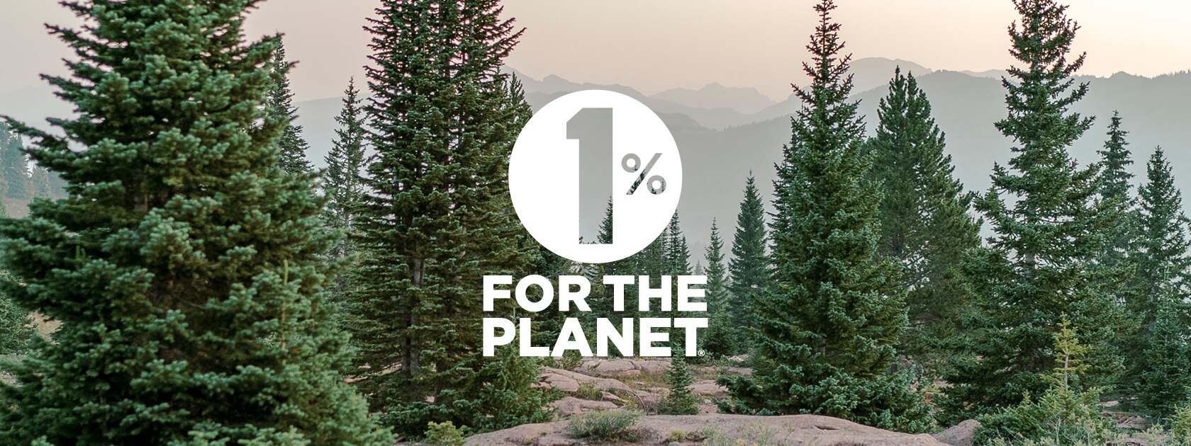 pine forest with mountain in background overlaid by one percent for the planet icon