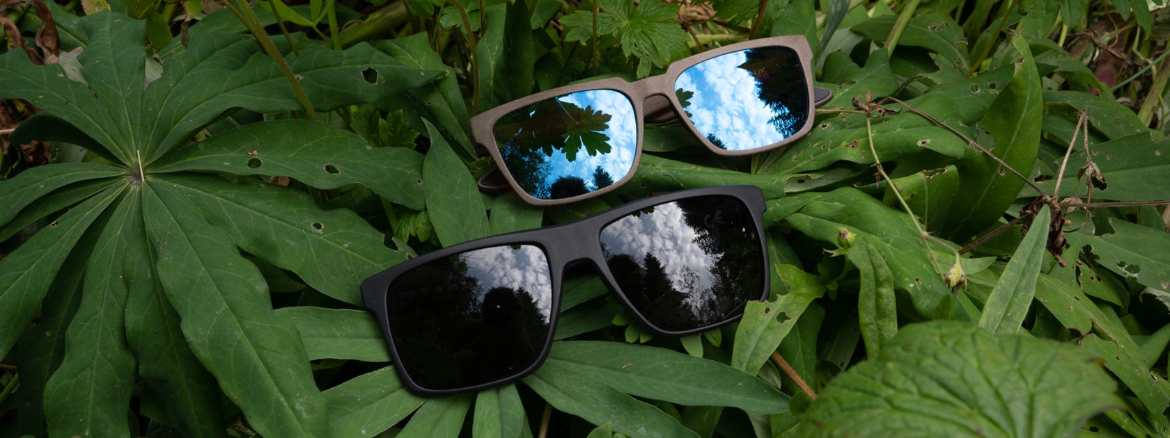 two zeal polarized sunglasses sitting on a bed of leaves
