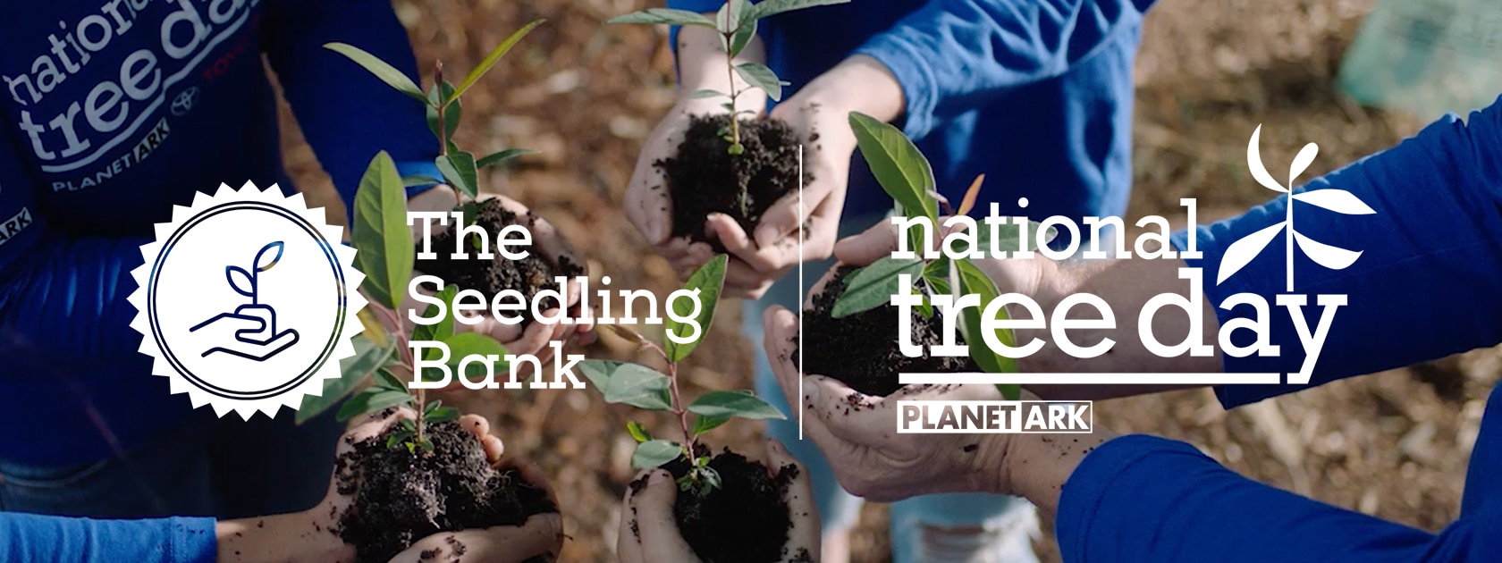 five hands holding tree saplings with The Seedling Bank and National Tree Day logos over the image