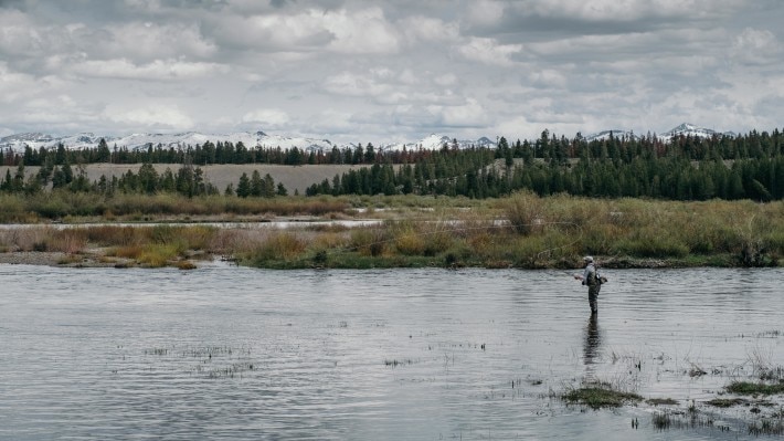 man standing in a shallow stream casting a fishing line with forest and mountains in the background