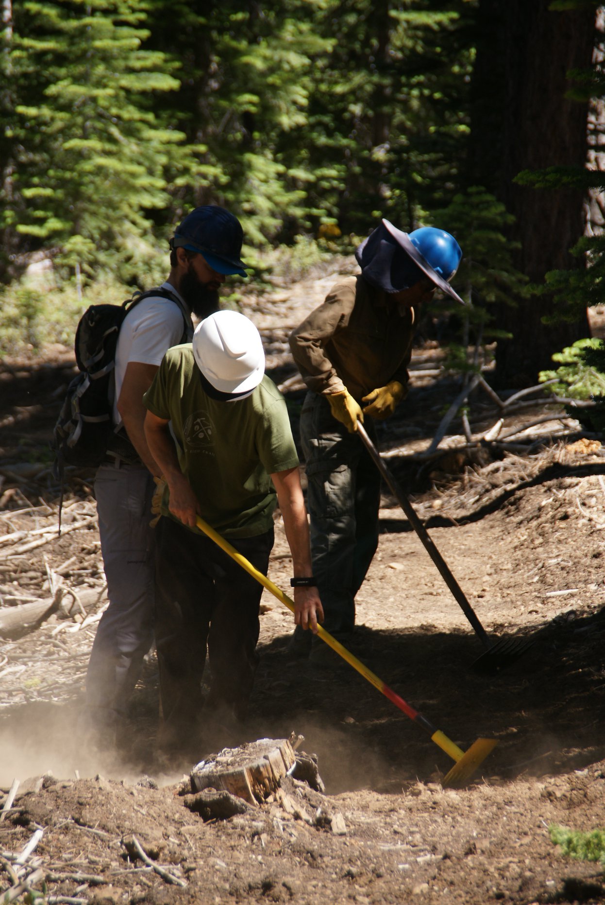 three men in hard hats using hoes to work the ground in a forested area