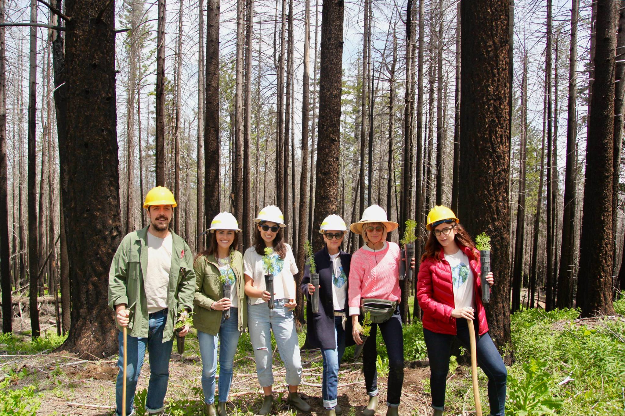 six people in hard hats holding small tree shoots in the forest