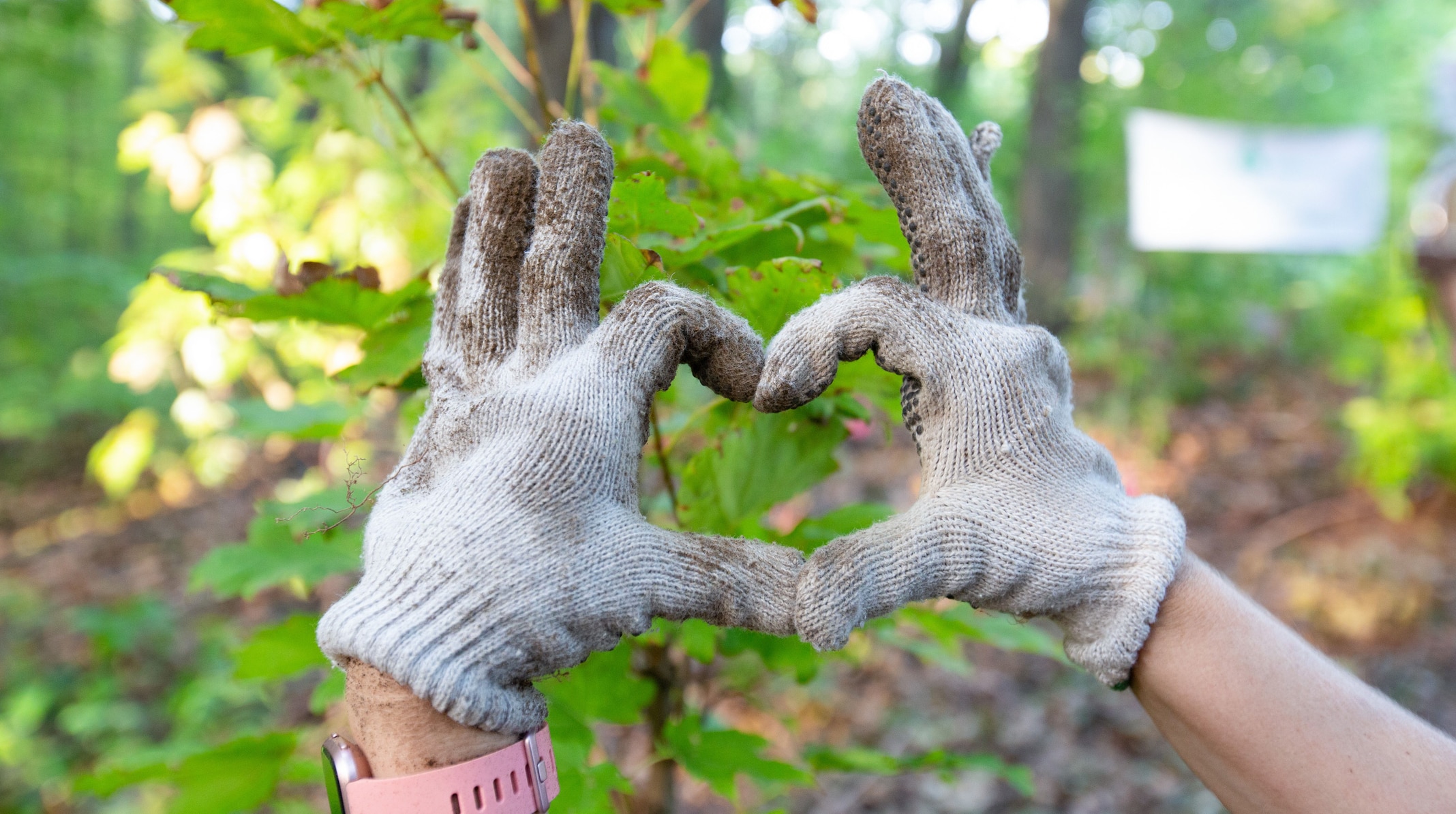 Two hands wearing gardening gloves forming a heart with trees in the backgorund